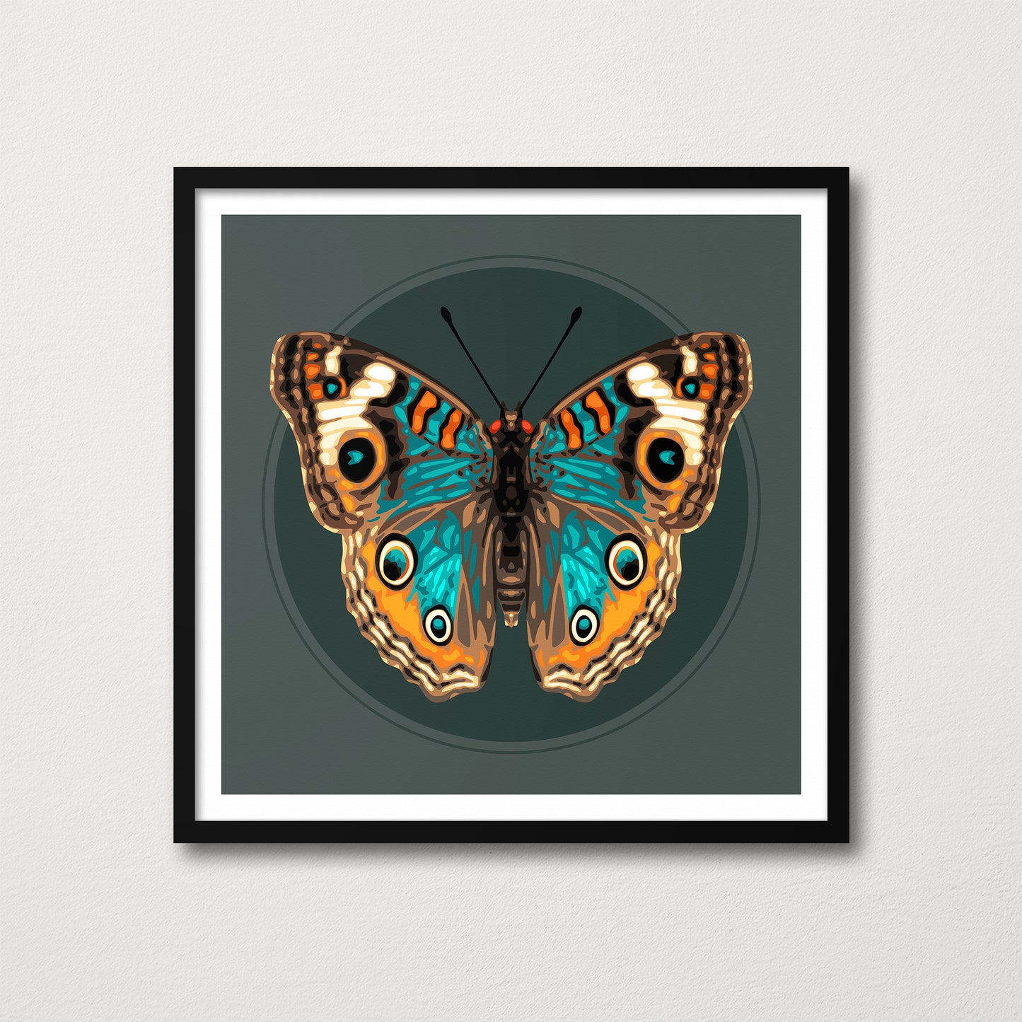 JUNONIA // OSCURIDAD