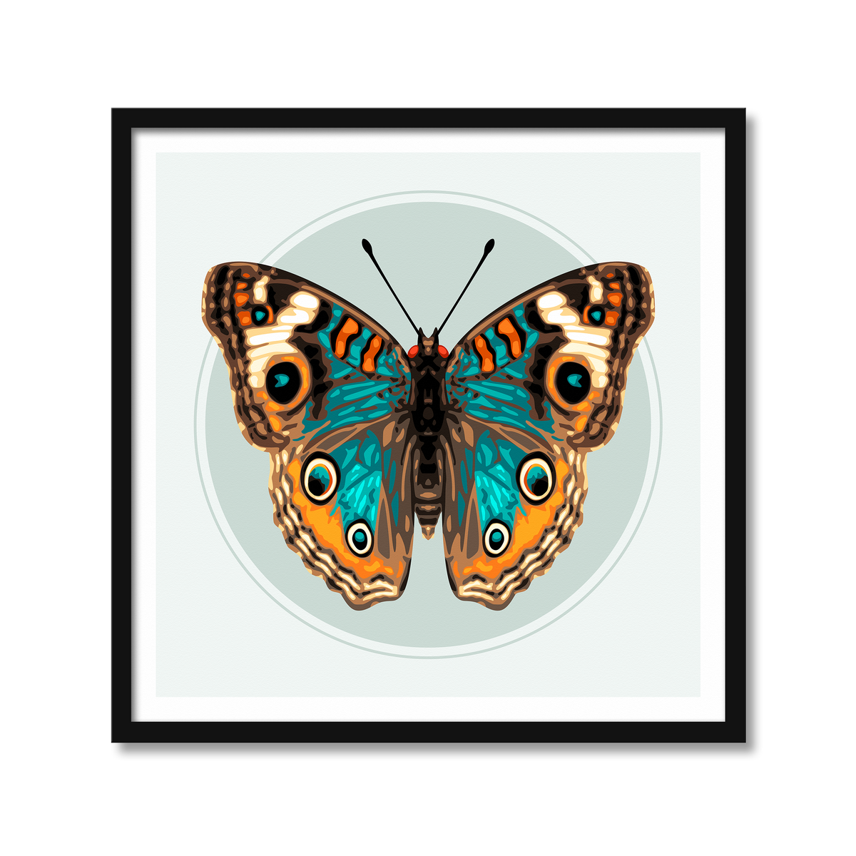 JUNONIA BUTTERFLY | Print