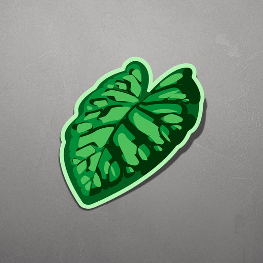 LEAF | Alocasia Dragon Scale Sticker