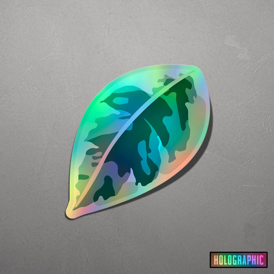 LEAF | Variegated Ficus Sticker