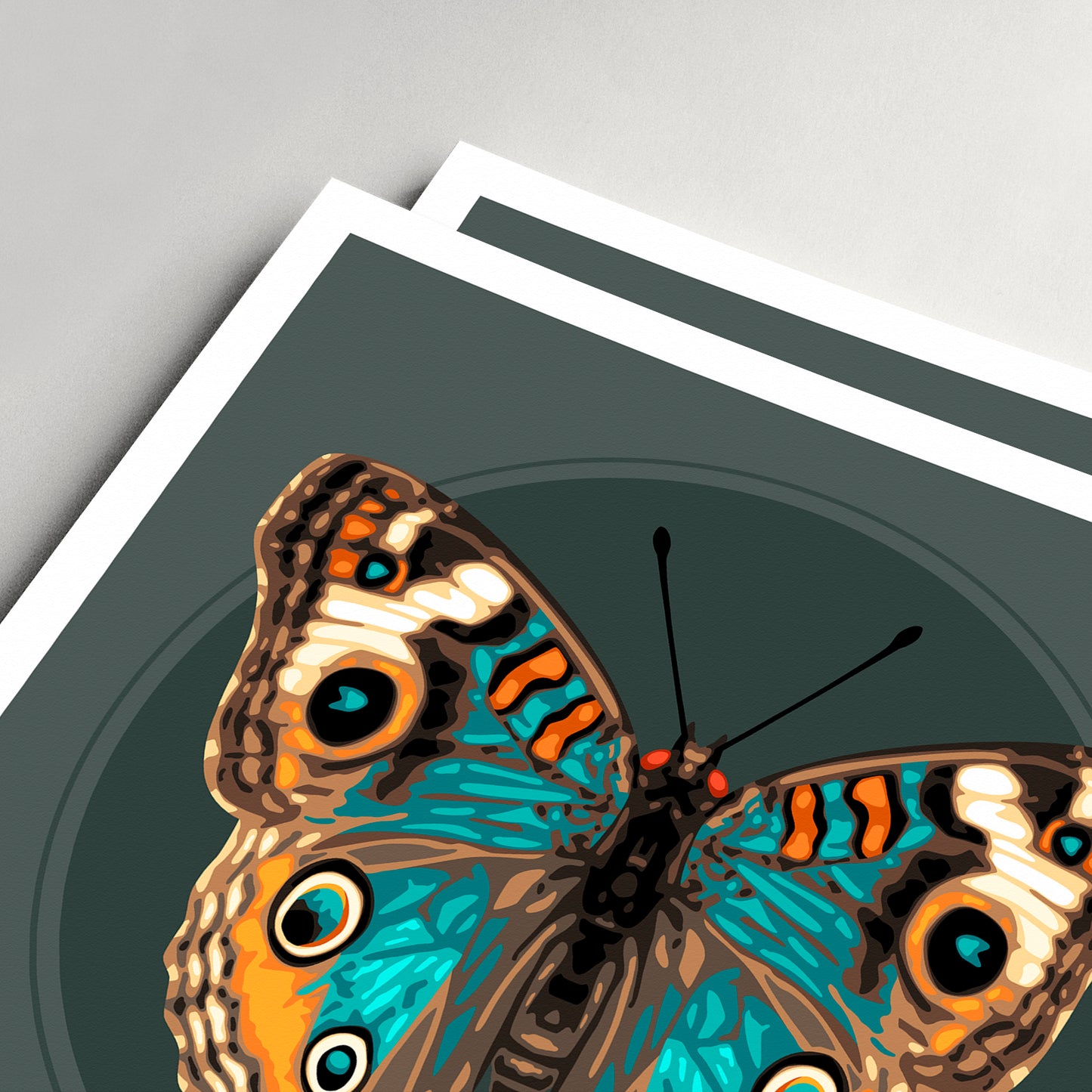 JUNONIA // OSCURIDAD
