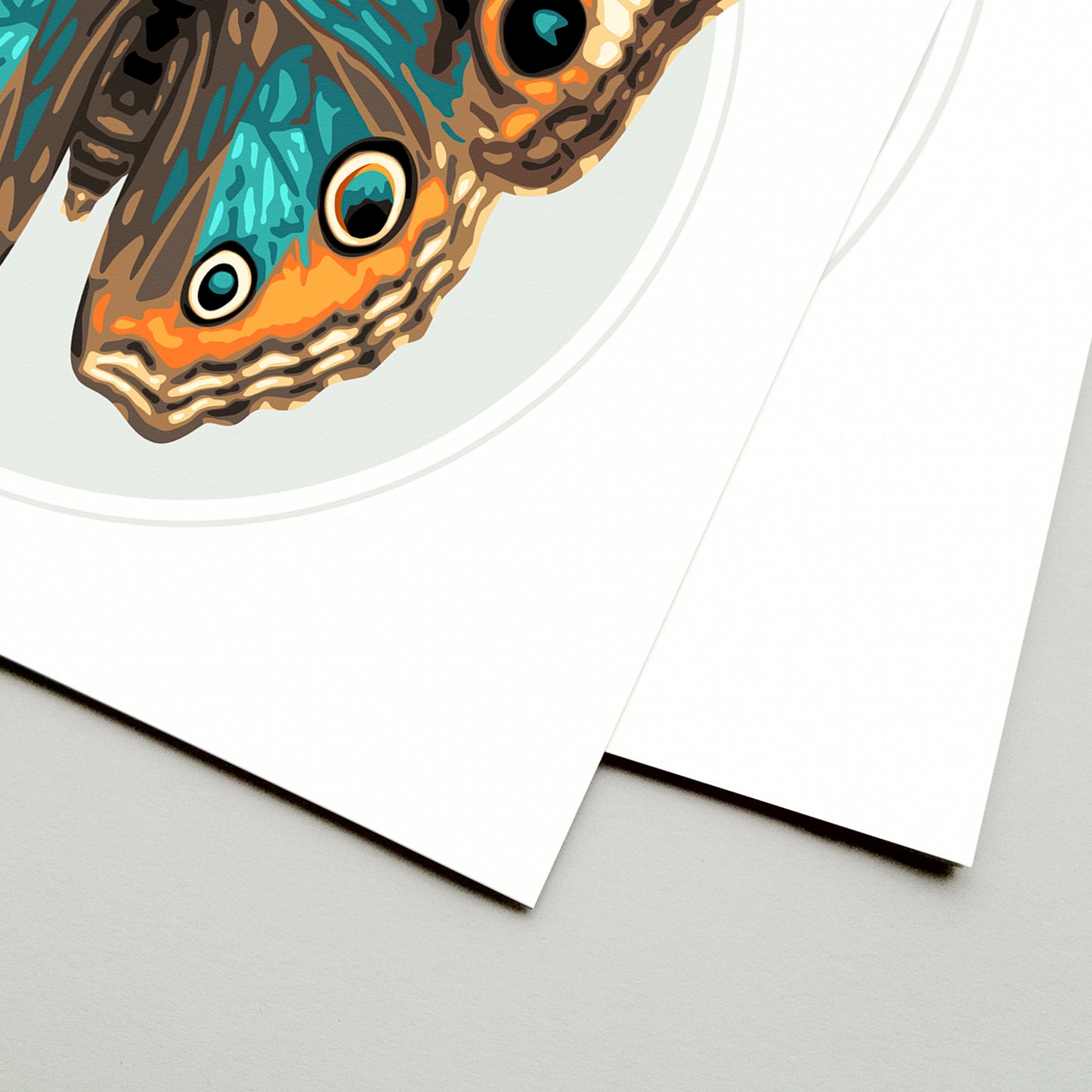 JUNONIA // LIGHT | Teal Color Match Frame