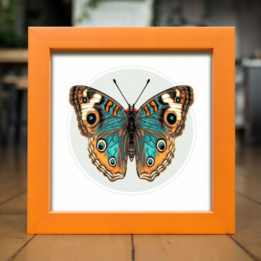 JUNONIA // LIGHT | Orange Color Match Frame