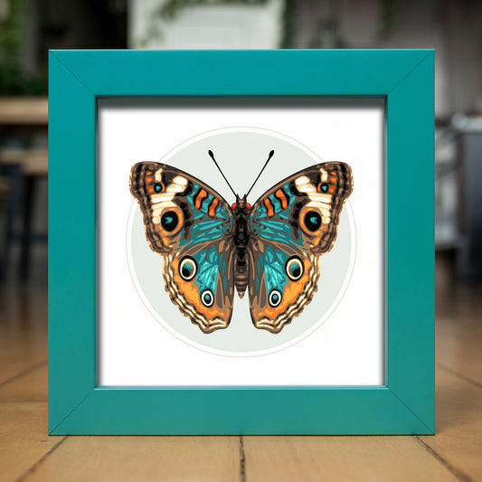 JUNONIA // LIGHT | Teal Color Match Frame