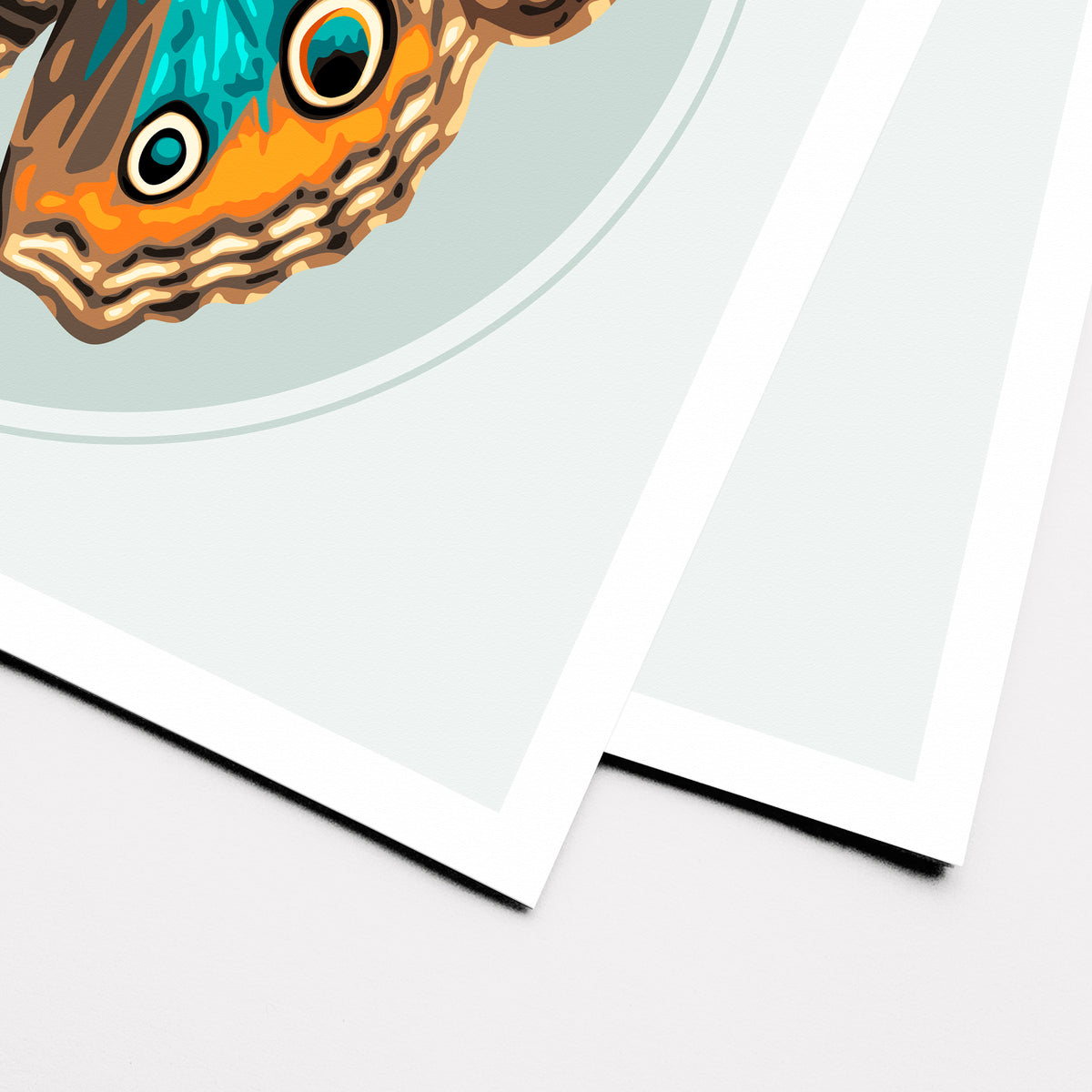 JUNONIA BUTTERFLY | Print