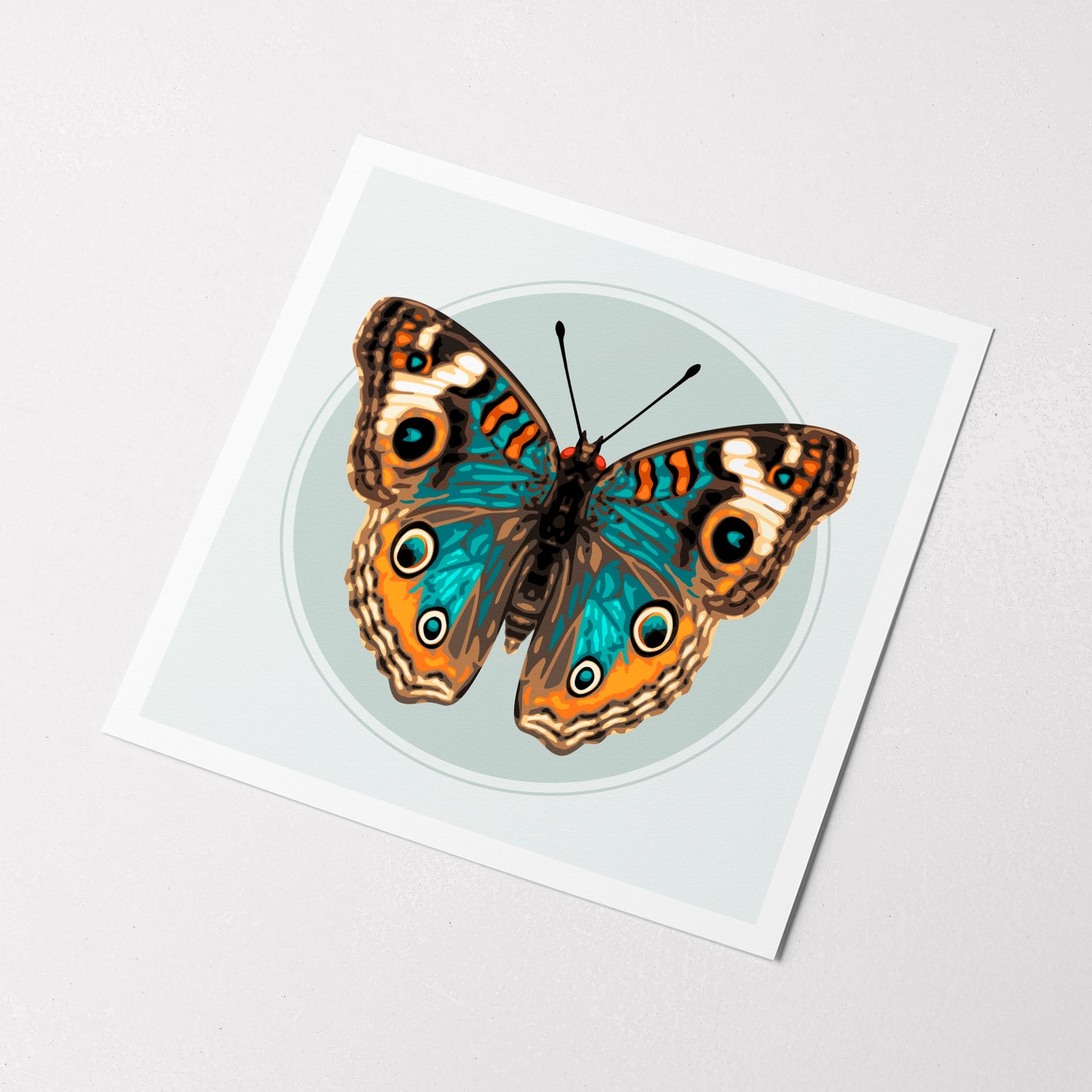JUNONIA BUTTERFLY | Print