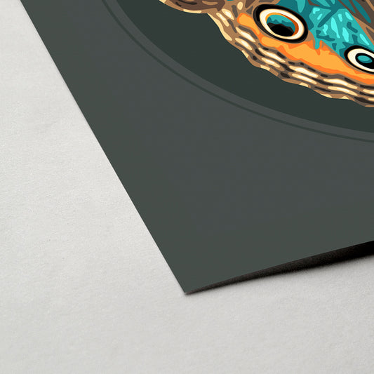 JUNONIA // DARK | Orange+Teal Color Match Frame