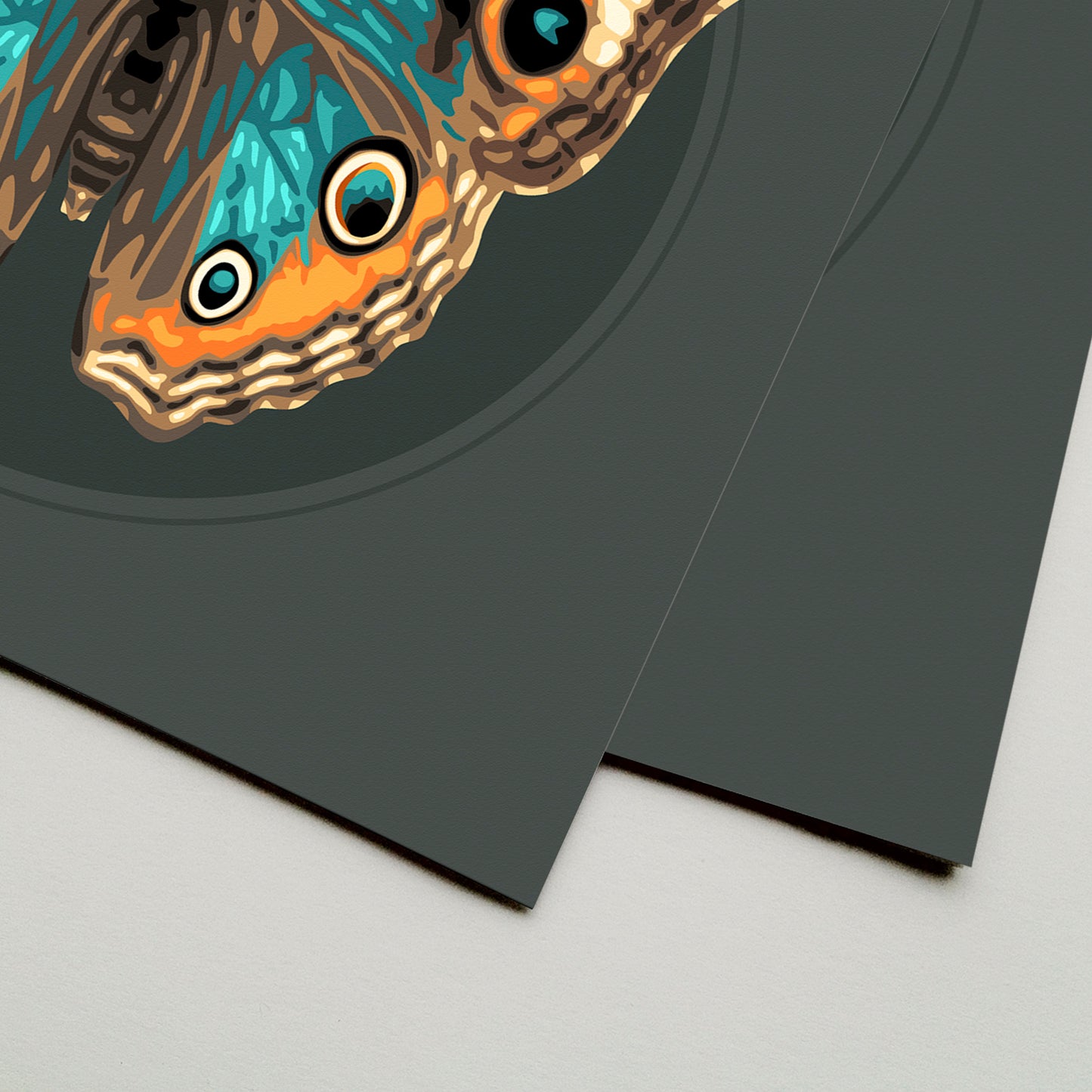 JUNONIA // DARK | Teal Color Match Frame