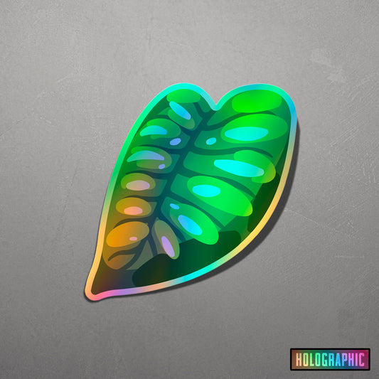 LEAF | Monstera Acuminata Sticker