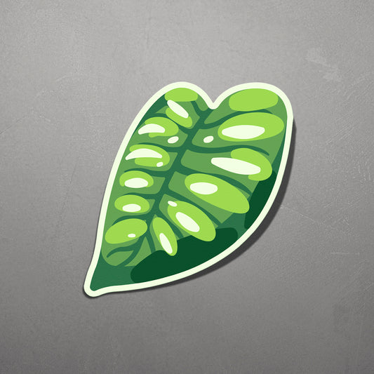 LEAF | Monstera Acuminata Sticker