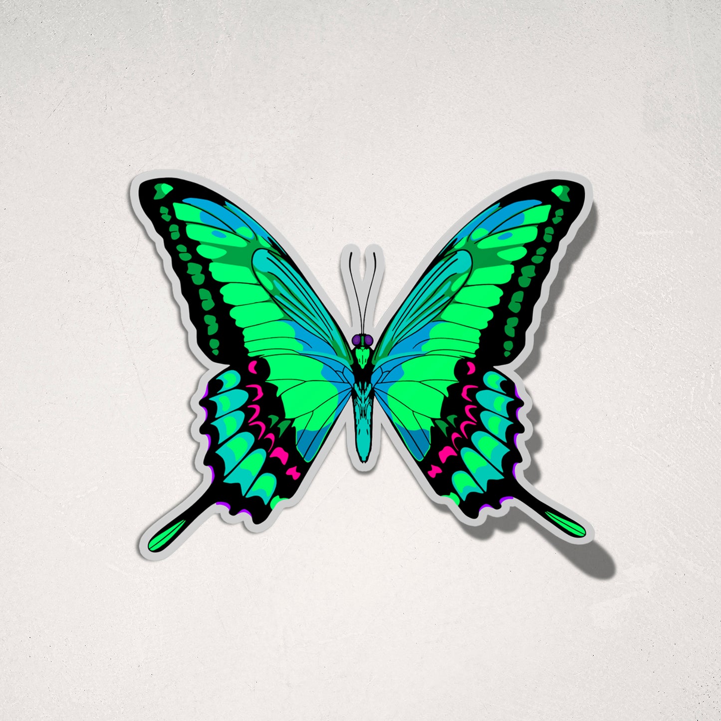 JUNONIA // OSCURIDAD