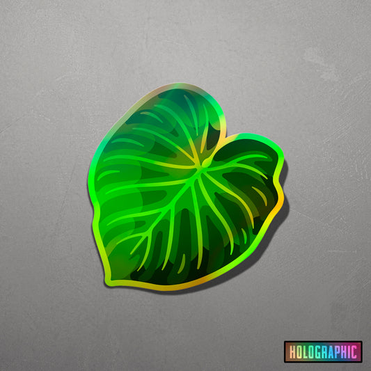 LEAF | Philodendron Verrucosum Sticker