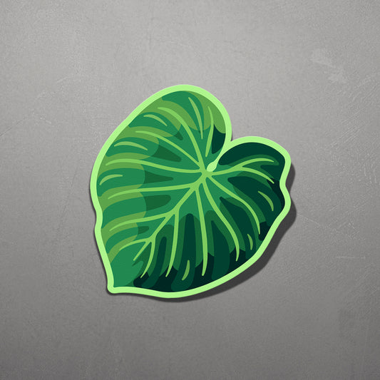 LEAF | Philodendron Verrucosum Sticker