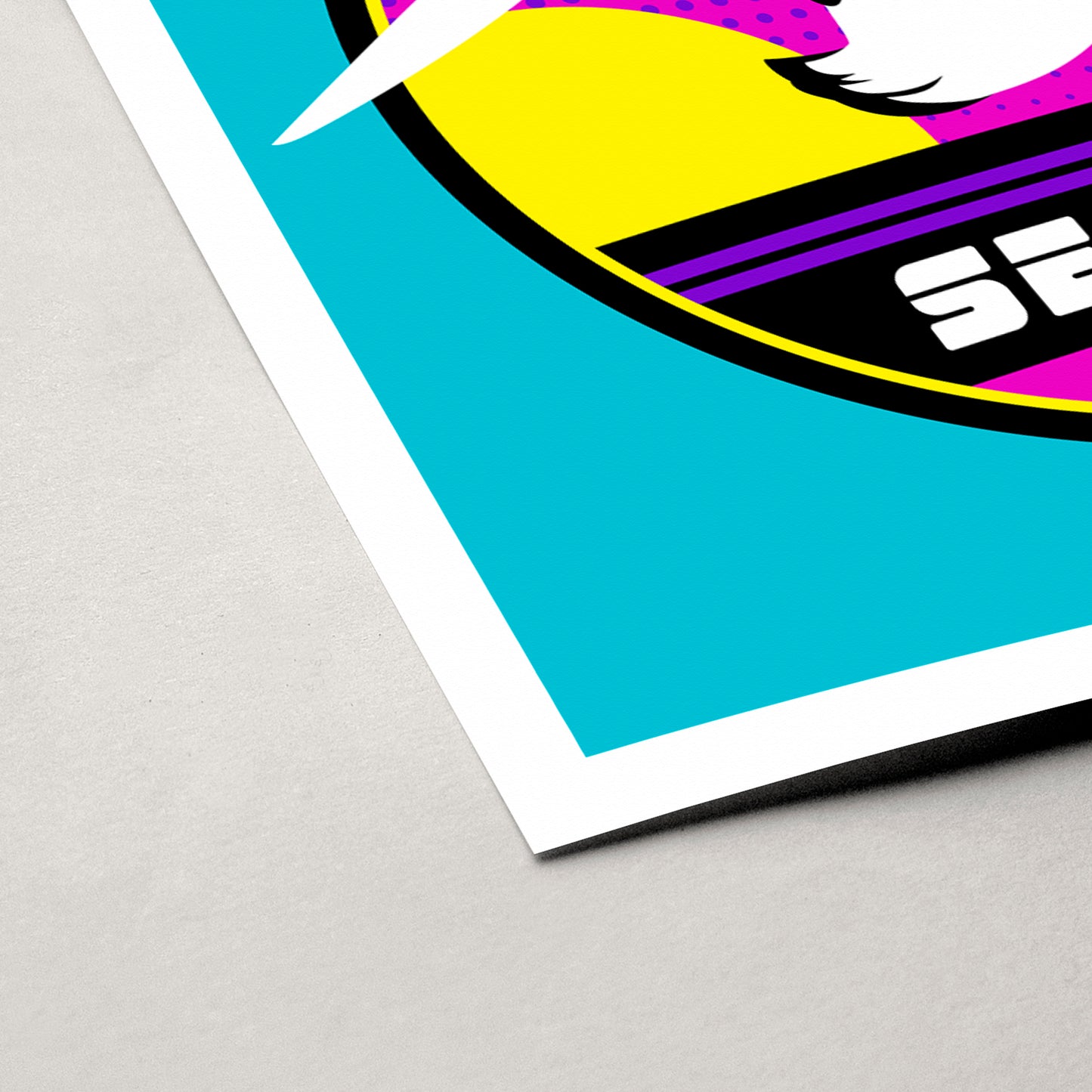 STEVEN SEAGULL | Collection
