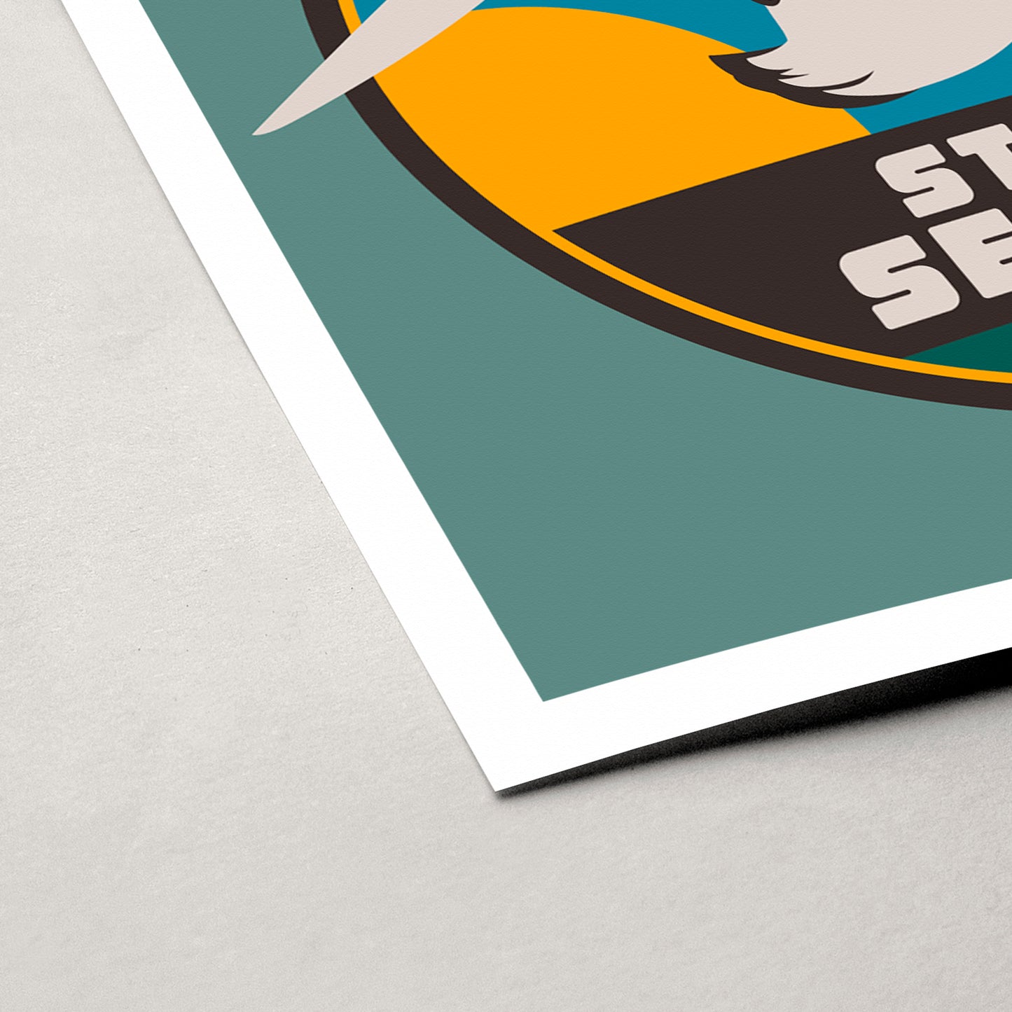 STEVEN SEAGULL | Collection