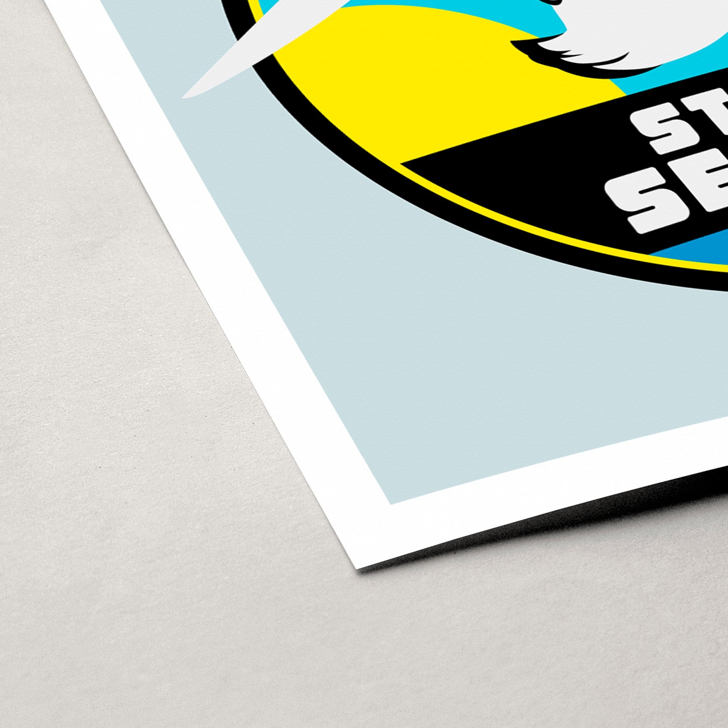 STEVEN SEAGULL | Collection