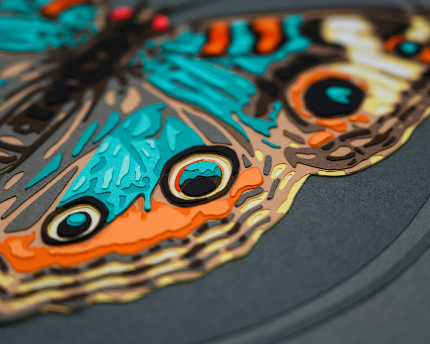 'JUNONIA' | Dark Colorway