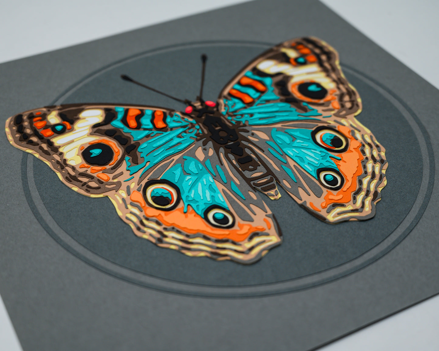 'JUNONIA' | Dark Colorway