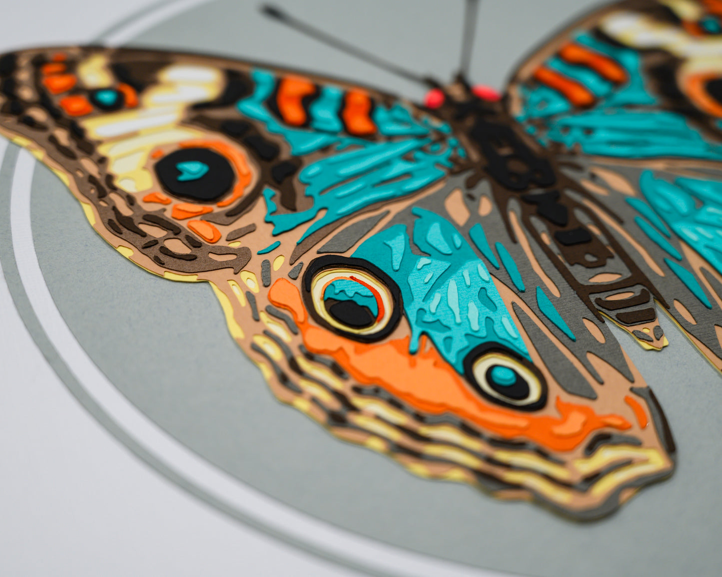 'JUNONIA' | Light Colorway