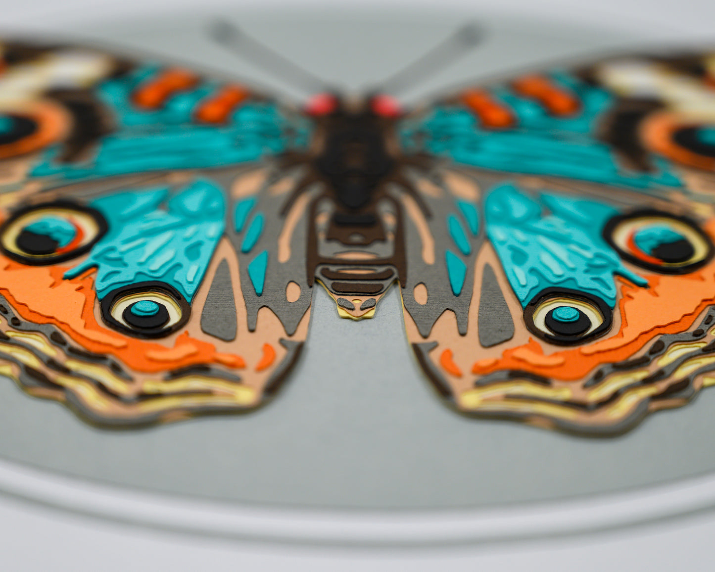 'JUNONIA' | Light Colorway