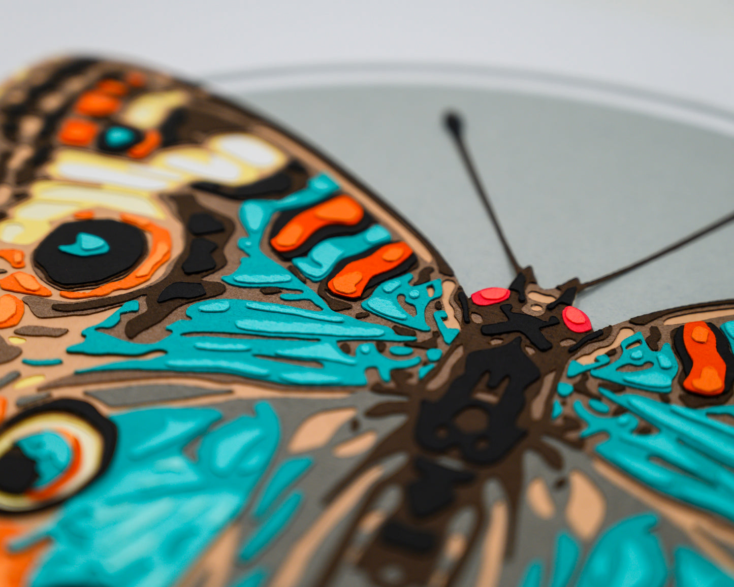 'JUNONIA' | Light Colorway