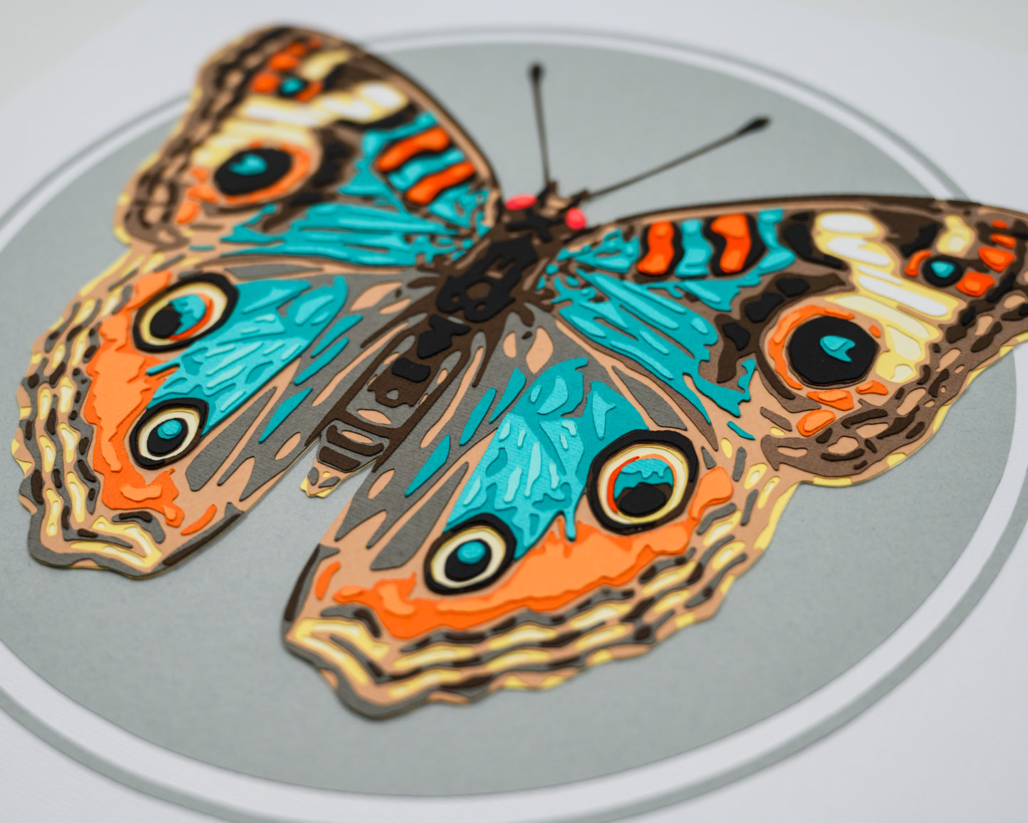 'JUNONIA' | Light Colorway