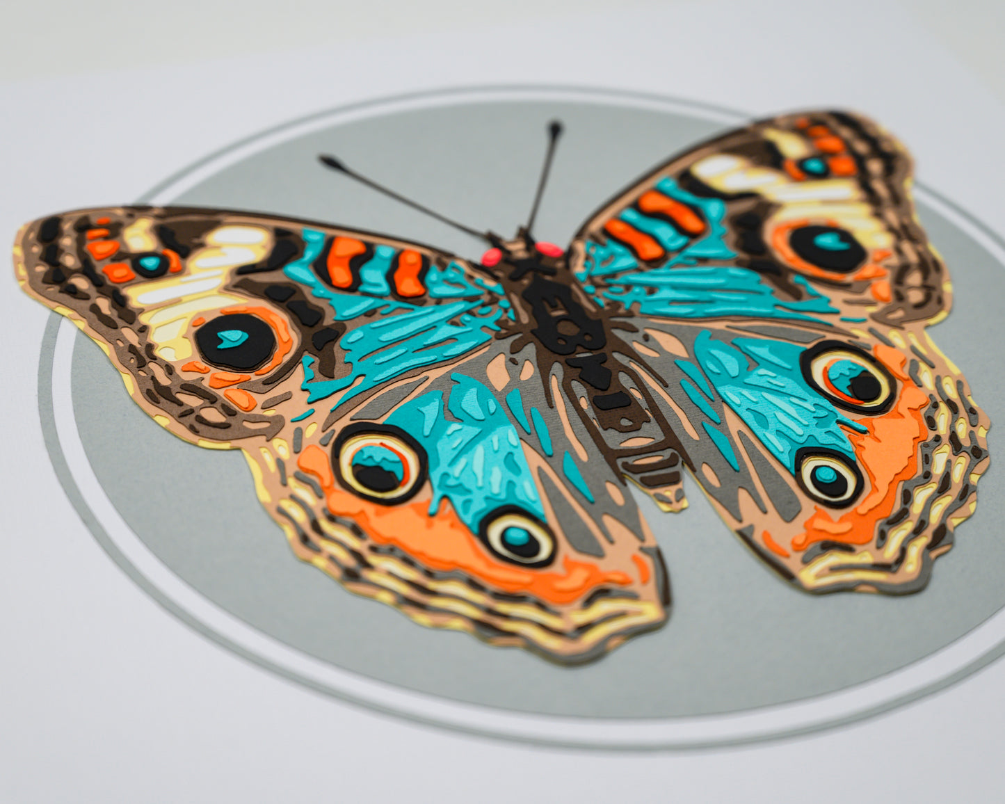 'JUNONIA' | Light Colorway