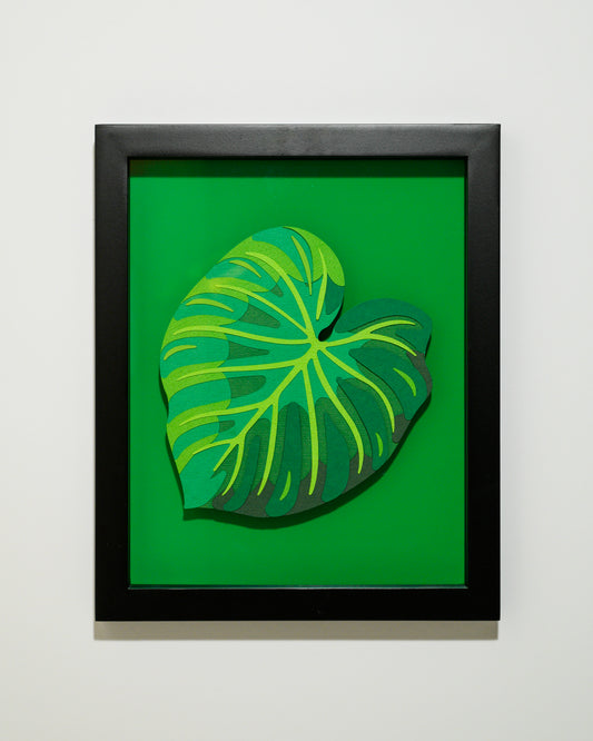 'PHILODENDRON VERRUCOSUM' | Leaf