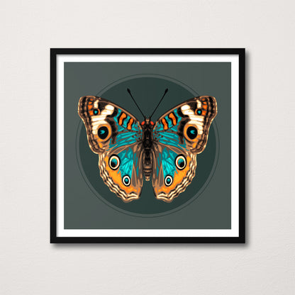 JUNONIA | Dark