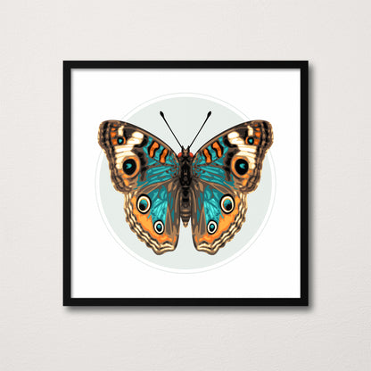 JUNONIA | Light