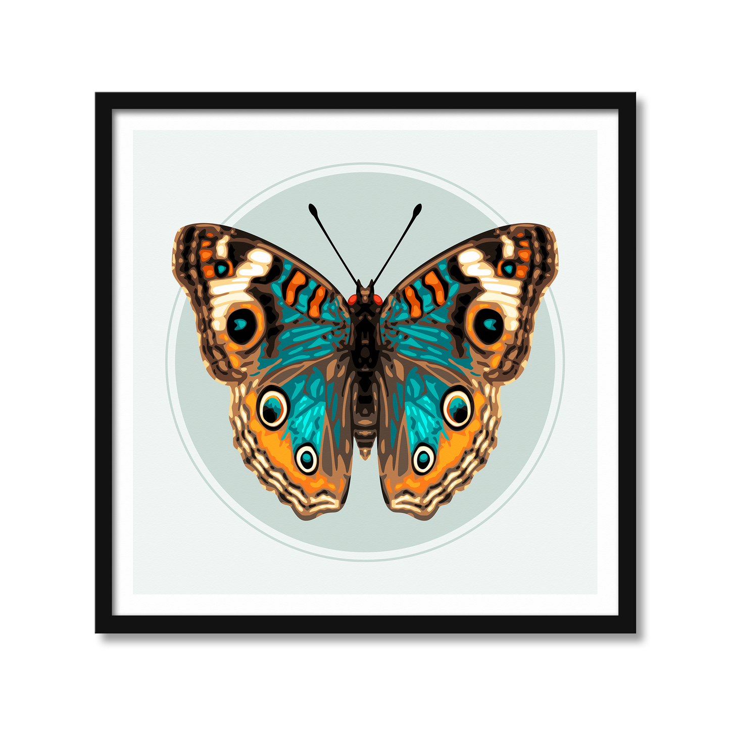JUNONIA BUTTERFLY | Print