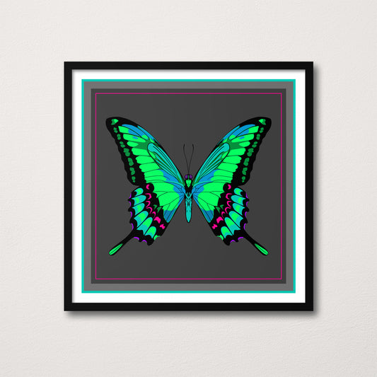 MANTEQUILLA DE MOSCA NEÓN