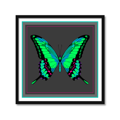 NEON BUTTERFLY | Print