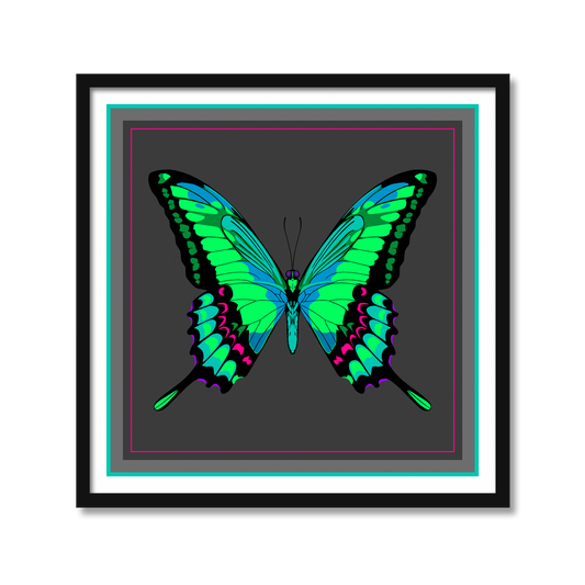 NEON BUTTERFLY | Print