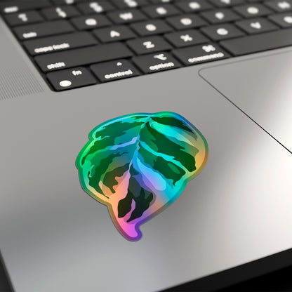 LEAF | Calathea White Fusion Sticker