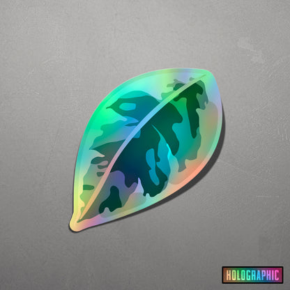 LEAF | Variegated Ficus Sticker