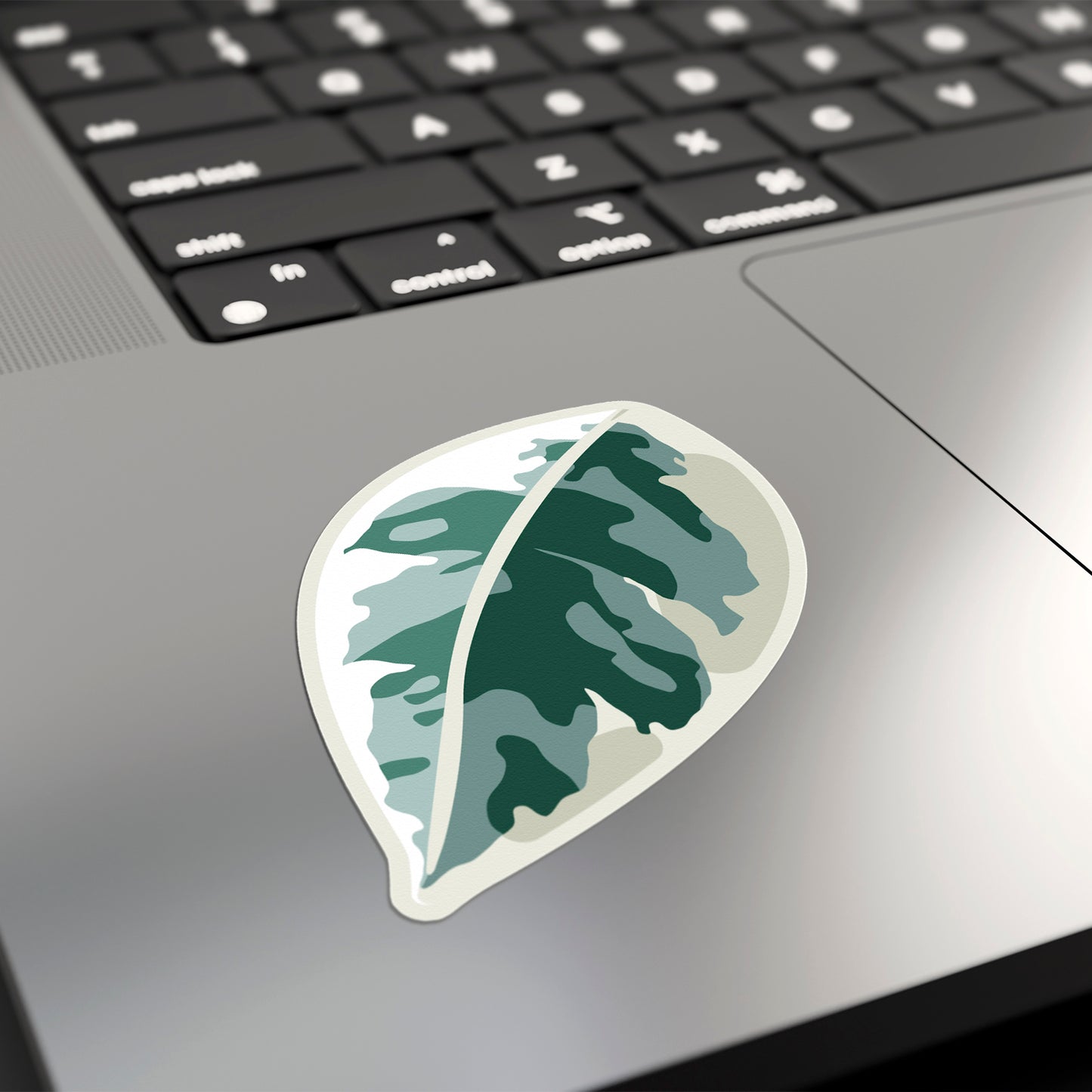 LEAF | Variegated Ficus Sticker