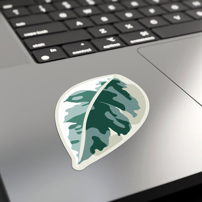 LEAF | Variegated Ficus Sticker