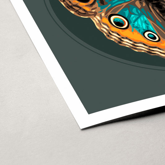 JUNONIA | Dark