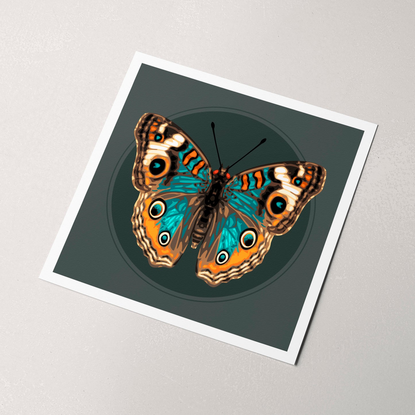 JUNONIA | Dark