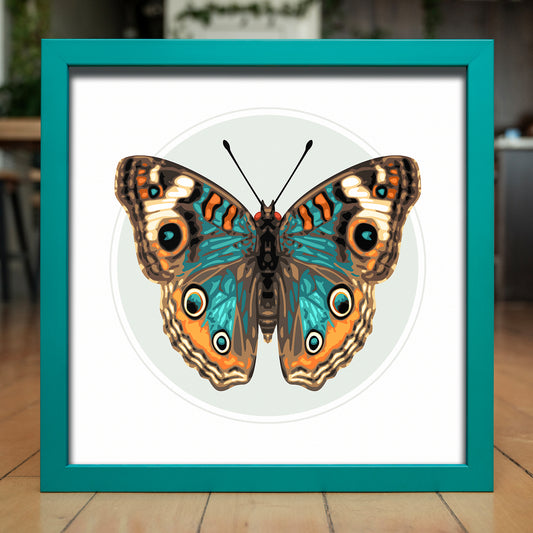 JUNONIA // LIGHT | Teal Color Match Frame