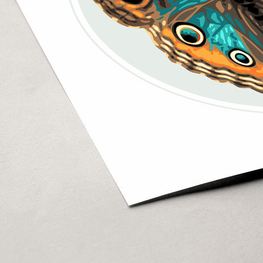JUNONIA | Light