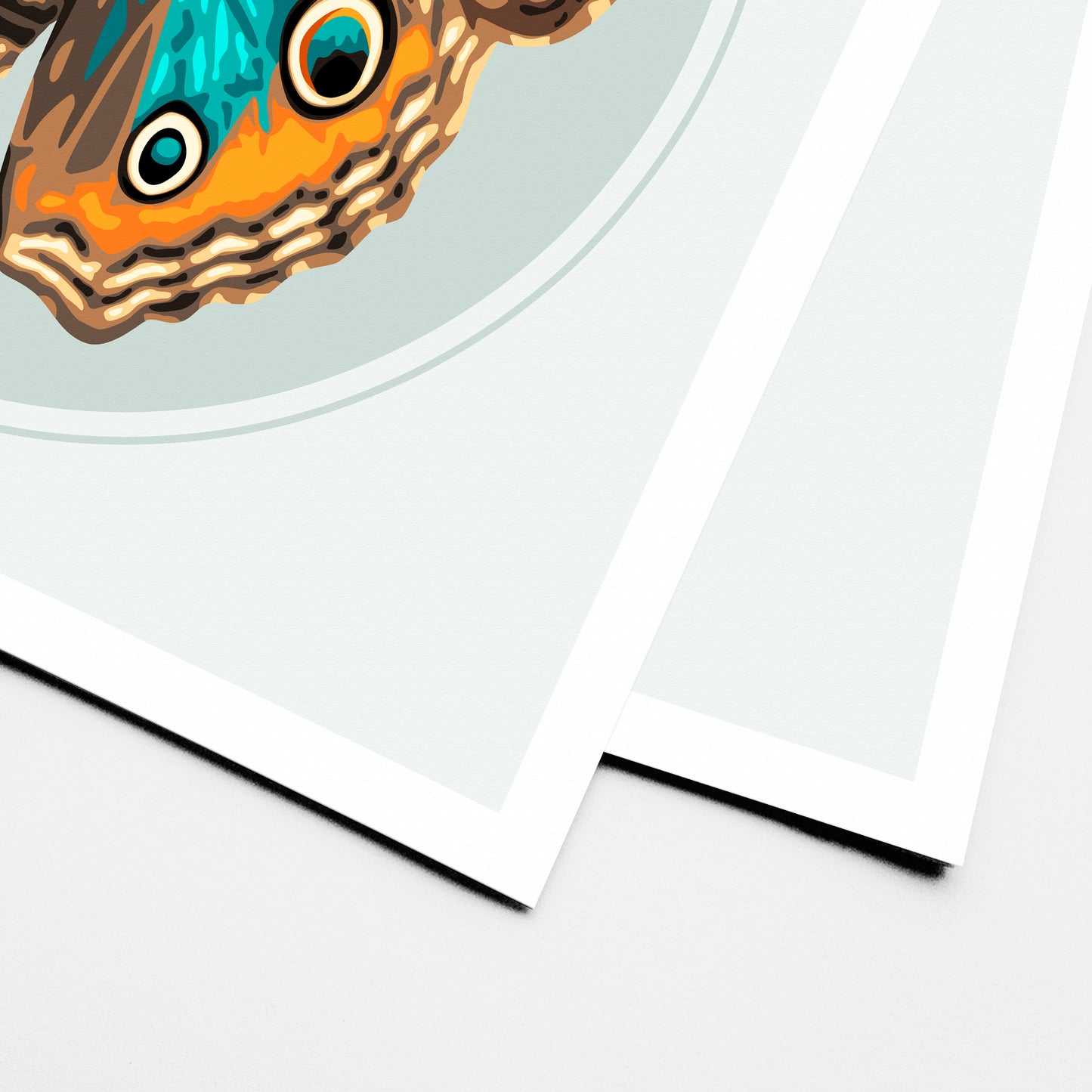 JUNONIA BUTTERFLY | Print