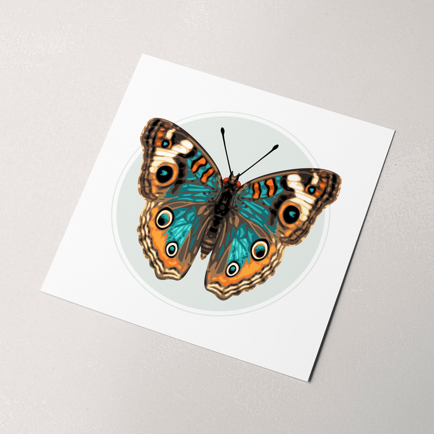 JUNONIA | Light