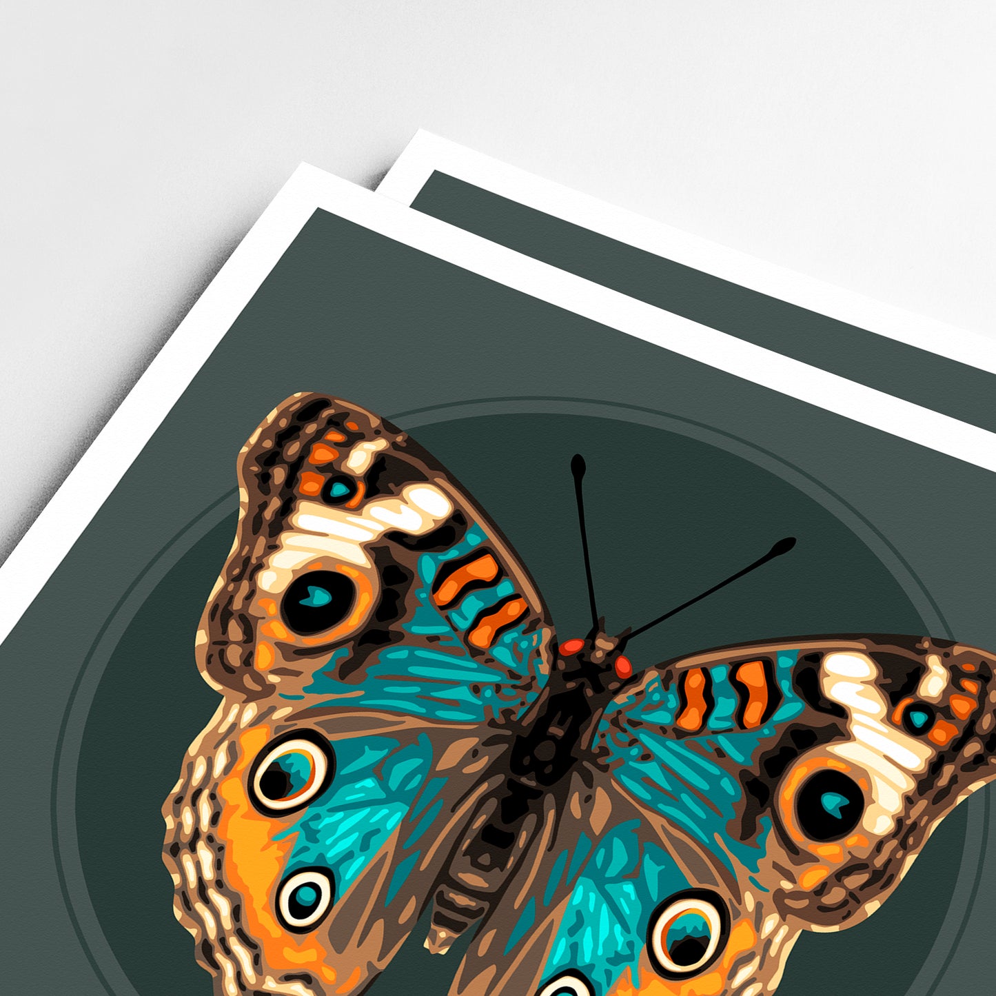 JUNONIA BUTTERFLY | Print