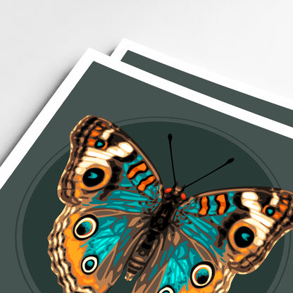 JUNONIA BUTTERFLY | Print