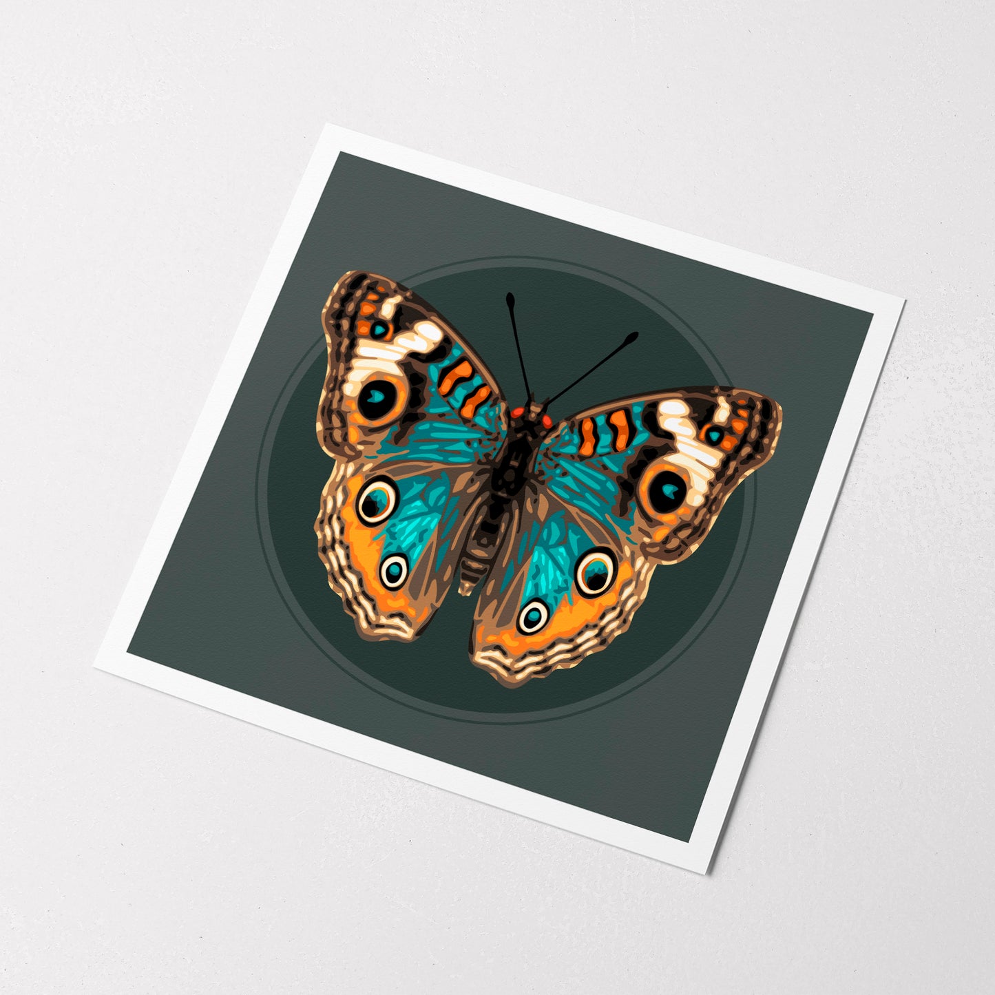 JUNONIA BUTTERFLY | Print