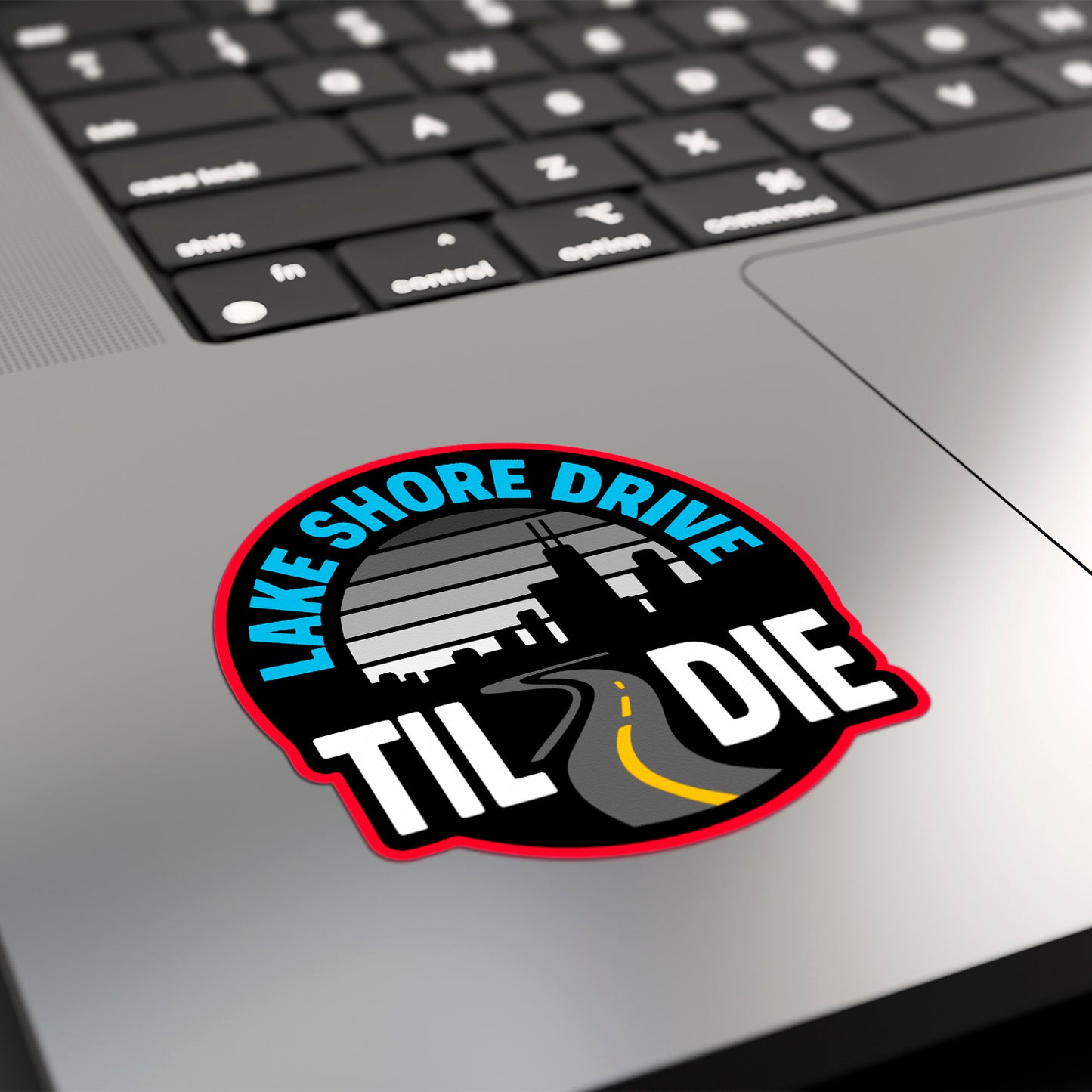 LAKE SHORE DRIVE TIL I DIE | Sticker