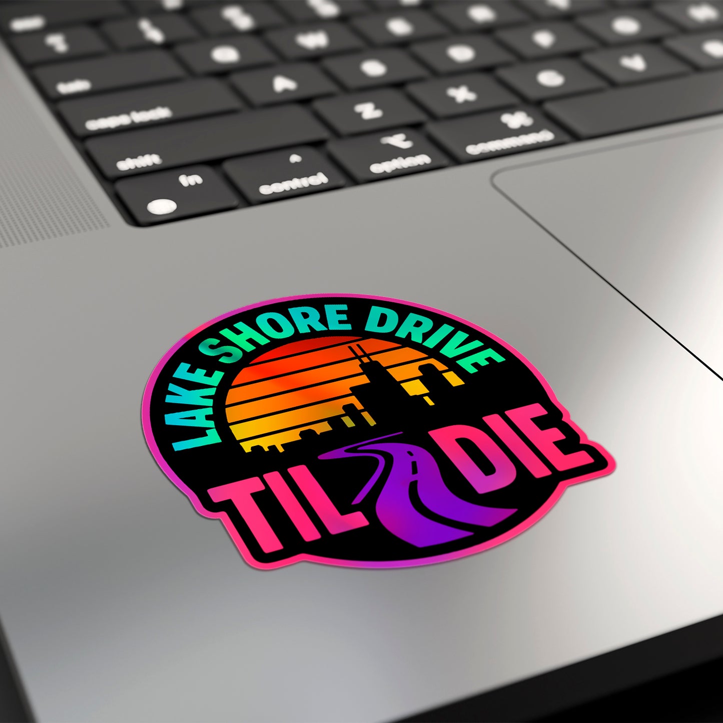 LAKE SHORE DRIVE TIL I DIE | Sticker