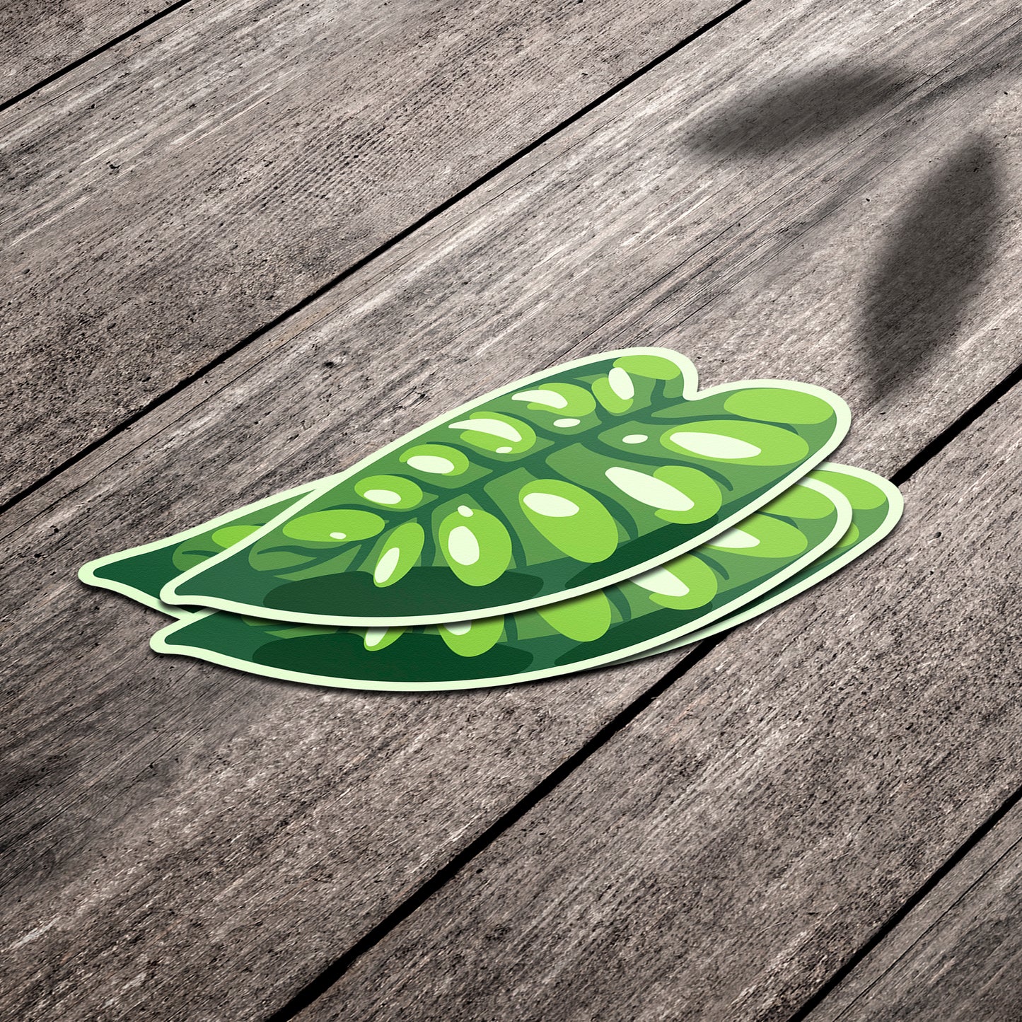 LEAF | Monstera Acuminata Sticker
